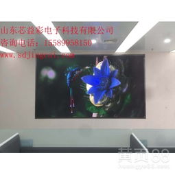 聊城高清电子屏幕与威海室内led显示屏的应用与发展